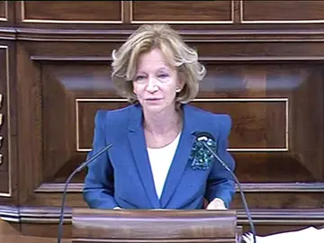Elena Salgado en el Congreso Elena Salgado en el Congreso