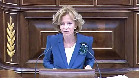 Elena Salgado en el Congreso Elena Salgado en el Congreso