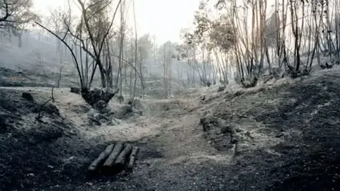 Exposición de fotografía en Madrid Exposición de fotografía en Madrid