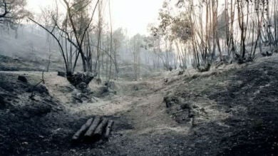 Una exposición muestra los desastres medioambientales que causa el hombre