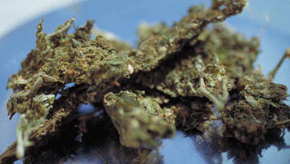 Marihuana