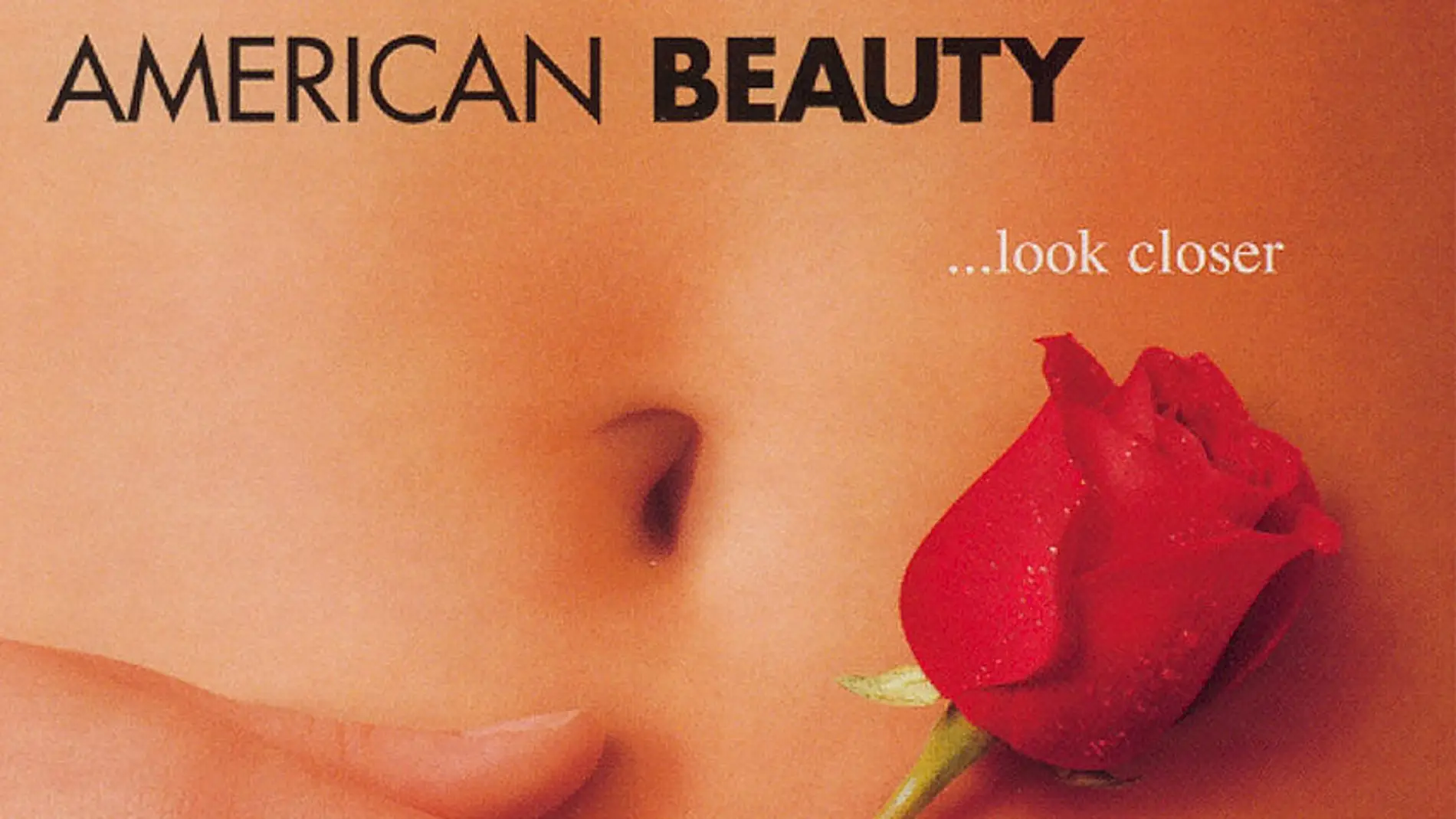 American Beauty