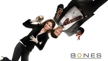 Bones