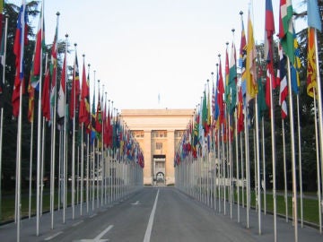 Infome de la ONU Infome de la ONU