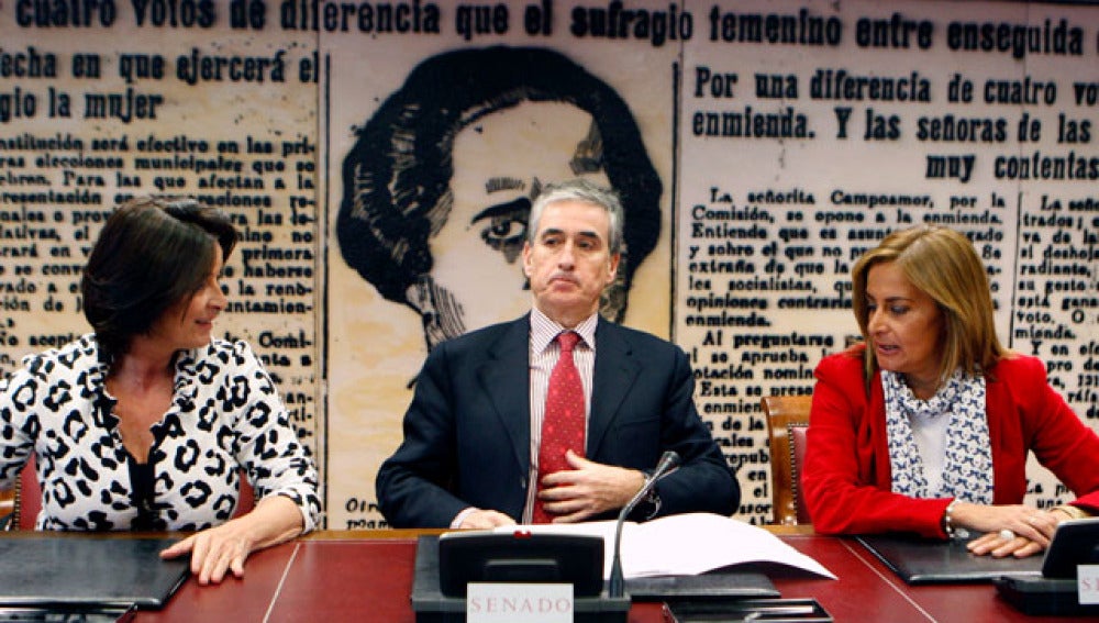 Grupo parlamentario socialista en el Senado