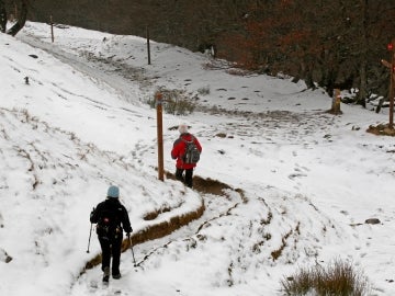 Nevadas en Navarra