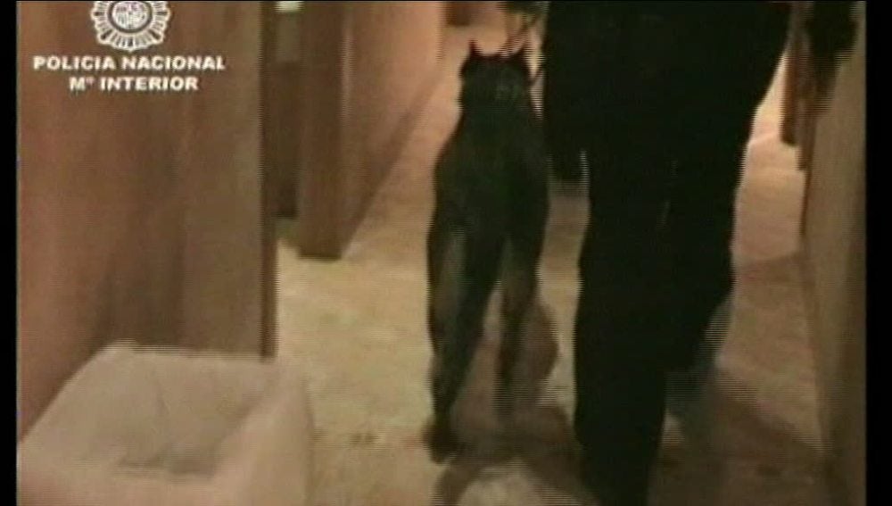 Detenidas en Murcia seis personas por obligar a una menor a prostituirse  