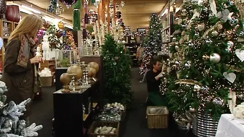 Árboles de navidad Árboles de navidad