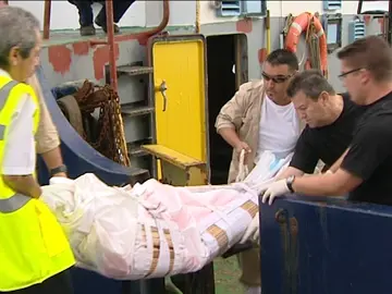 Llegan a Las Palmas los náufragos de un velero que se hundió por el temporal Llegan a Las Palmas los náufragos de un velero que se hundió por el temporal