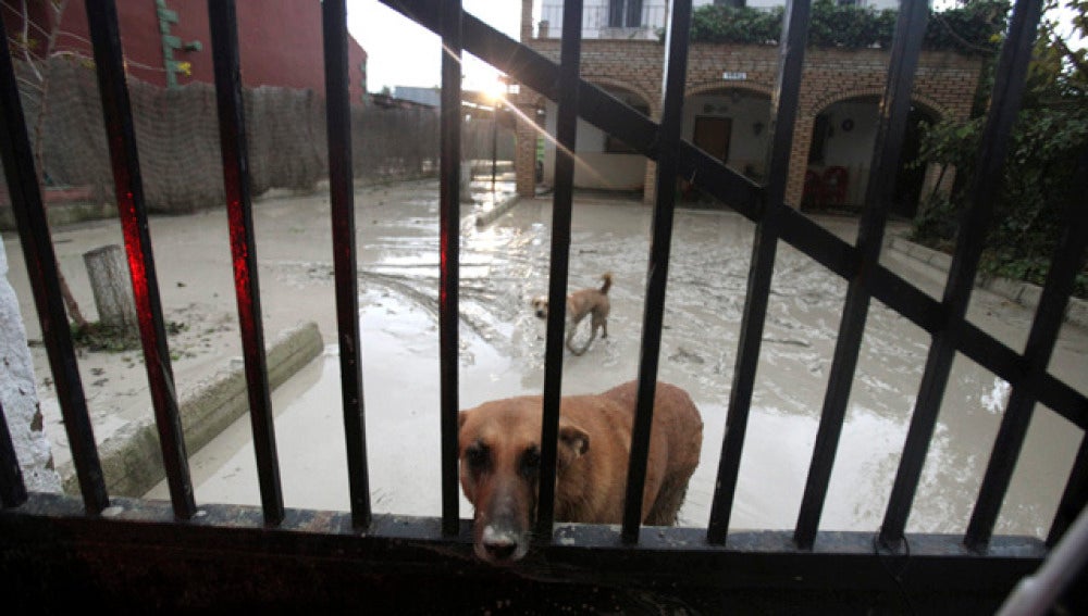 Activado el Plan de Emergencia en Córdoba