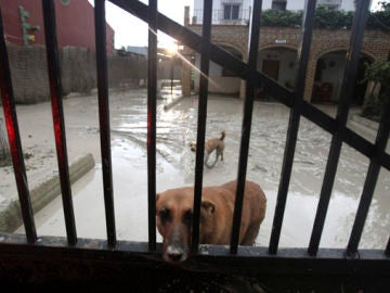 Activado el Plan de Emergencia en Córdoba