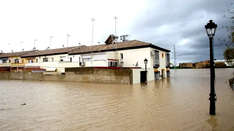 Lora del Río inundada por las lluvias Lora del Río inundada por las lluvias
