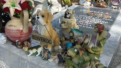 Cementerio de mascotas en Arganda
