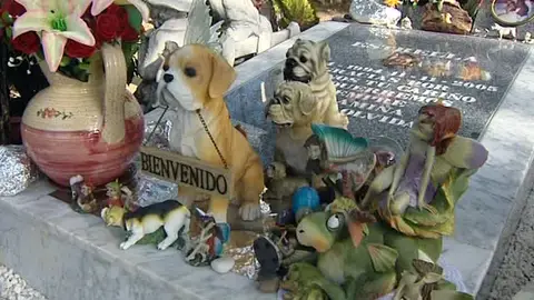 Cementerio de mascotas en Arganda Cementerio de mascotas en Arganda