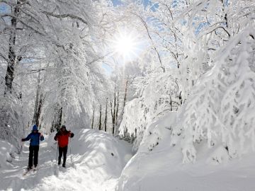 Navarra bajo la nieve