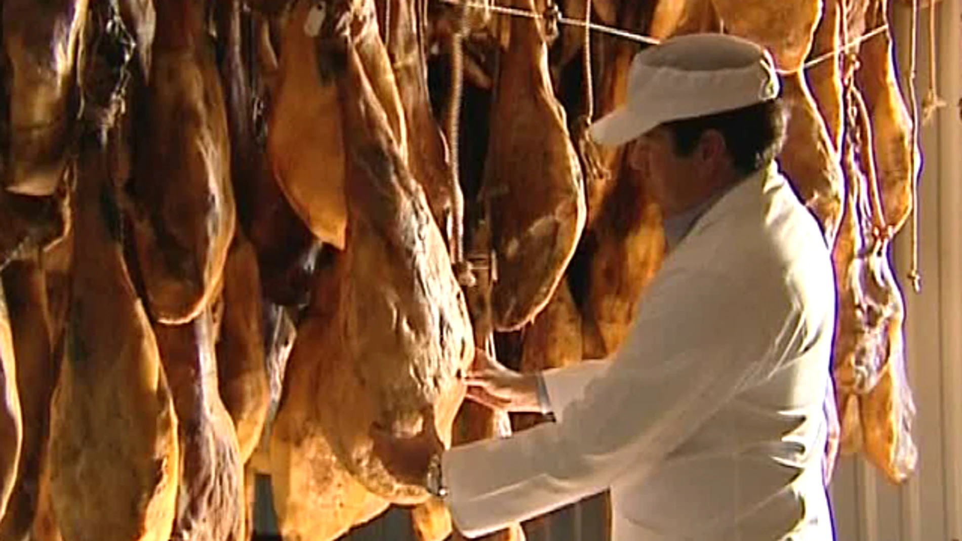 Jamones ibéricos en su proceso de curación Jamones ibéricos en su proceso de curación