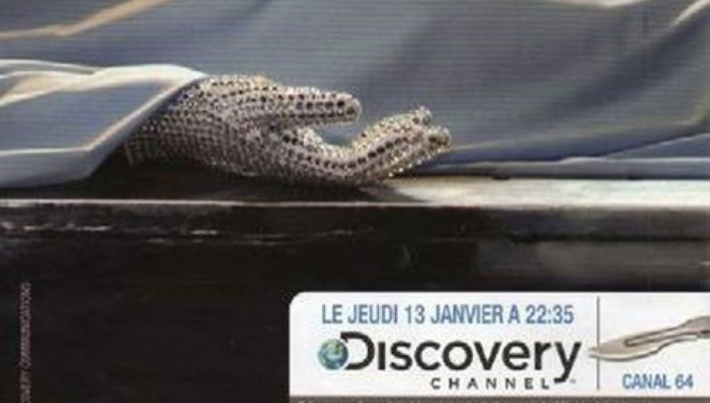 Discovery Channel