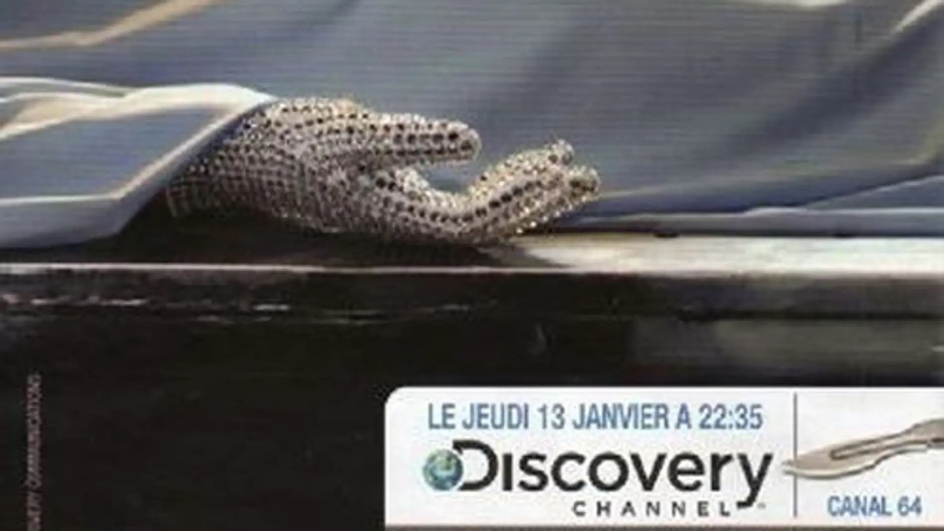 Discovery Channel