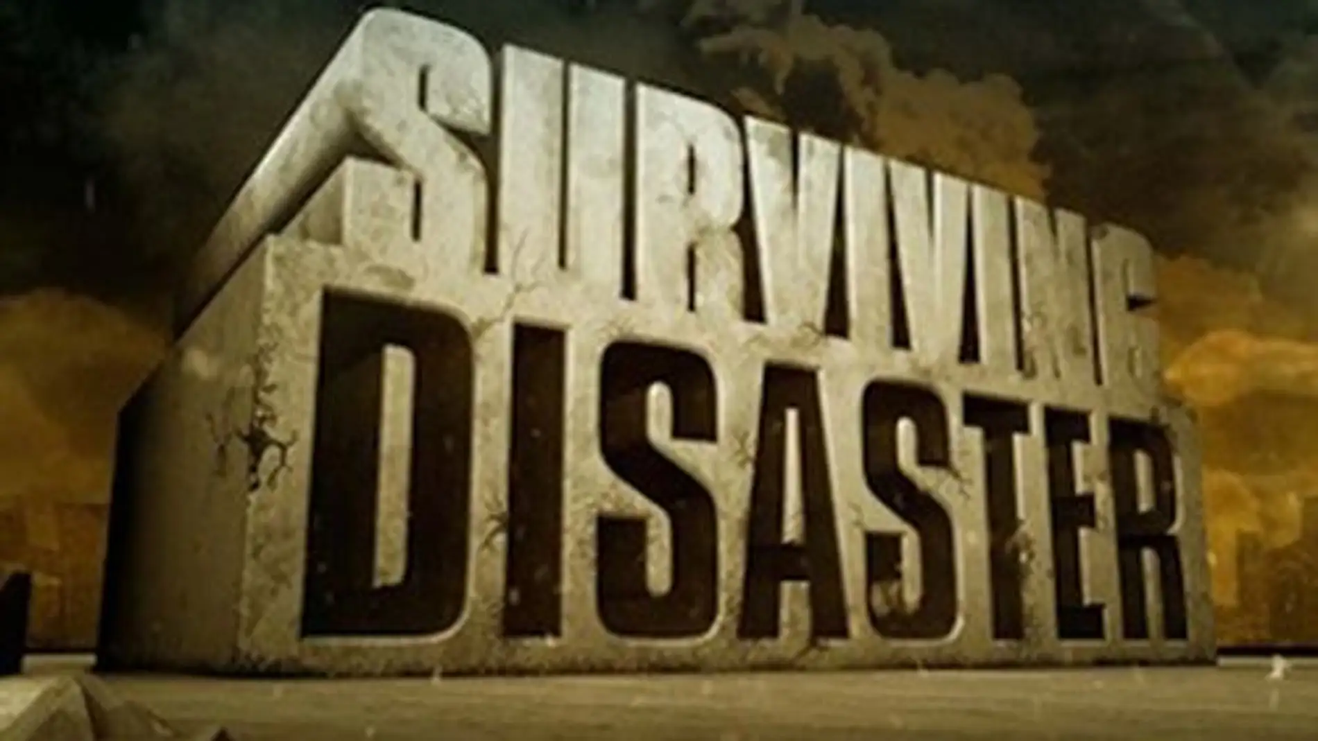 Cómo sobrevivir al desastre