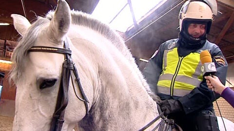 Un polic&iacute;a junto a su caballo