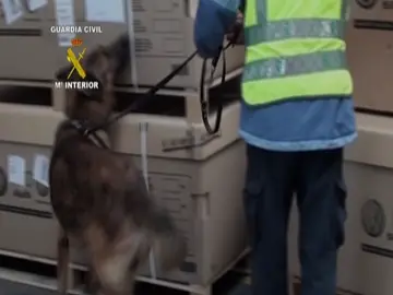 En 2010 la Guardia civil incautó en Barajas más de 500 kilos de cocaína En 2010 la Guardia civil incautó en Barajas más de 500 kilos de cocaína
