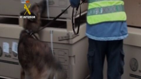 En 2010 la Guardia civil incaut&oacute; en Barajas m&aacute;s de 500 kilos de coca&iacute;na