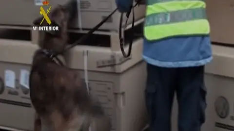 En 2010 la Guardia civil incautó en Barajas más de 500 kilos de cocaína En 2010 la Guardia civil incautó en Barajas más de 500 kilos de cocaína