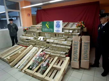 Cargamento de cocaína camuflado en rosas Cargamento de cocaína camuflado en rosas