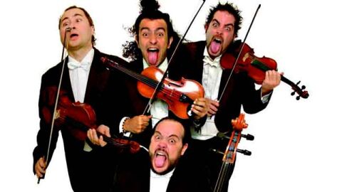 Violinistas