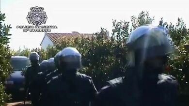 La Policía frena una multitudinaria pelea de gallos en Castellón