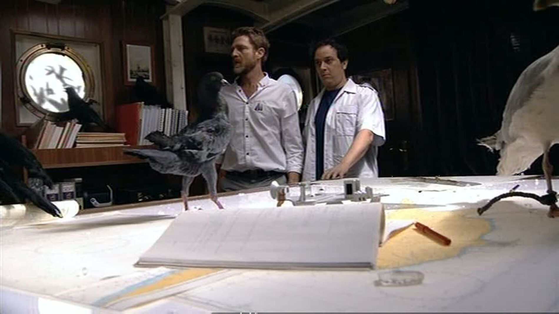 Los p&aacute;jaros atacan el Estrella Polar