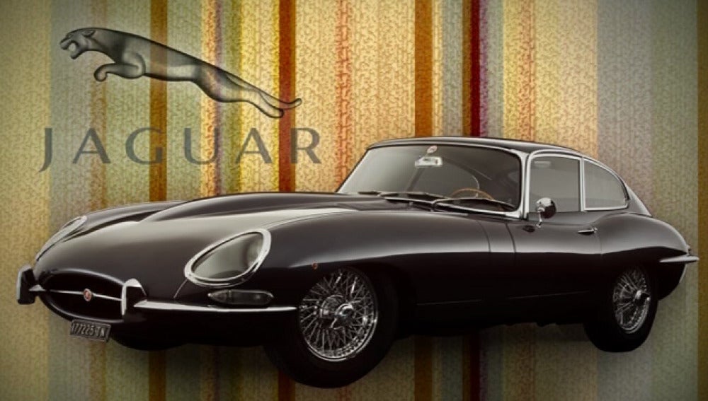 jaguar clásico