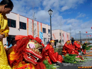 Dragones chinos en Fuenlabrada