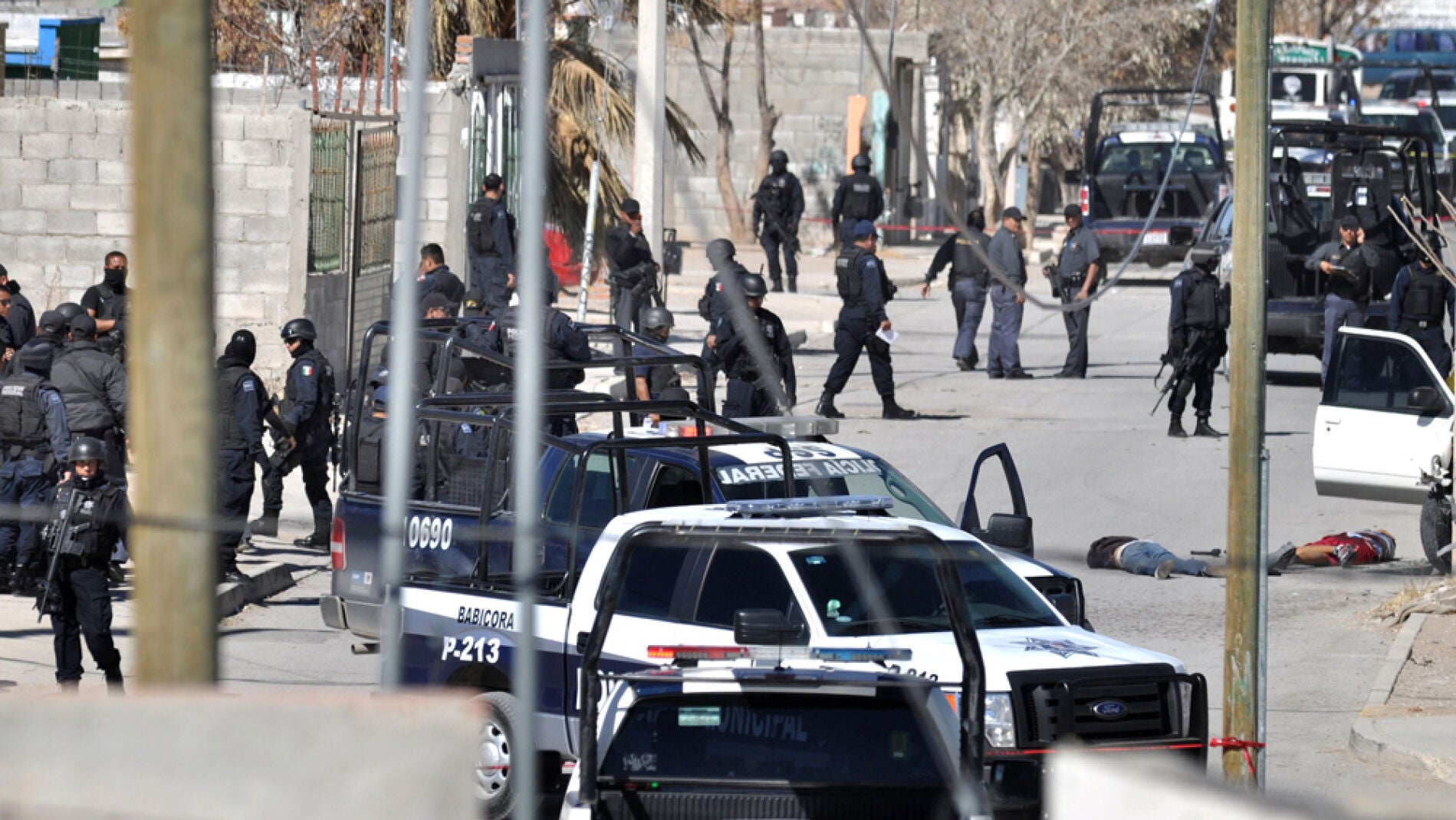 La polic&iacute;a federal investiga los cad&aacute;veres de dos sicarios