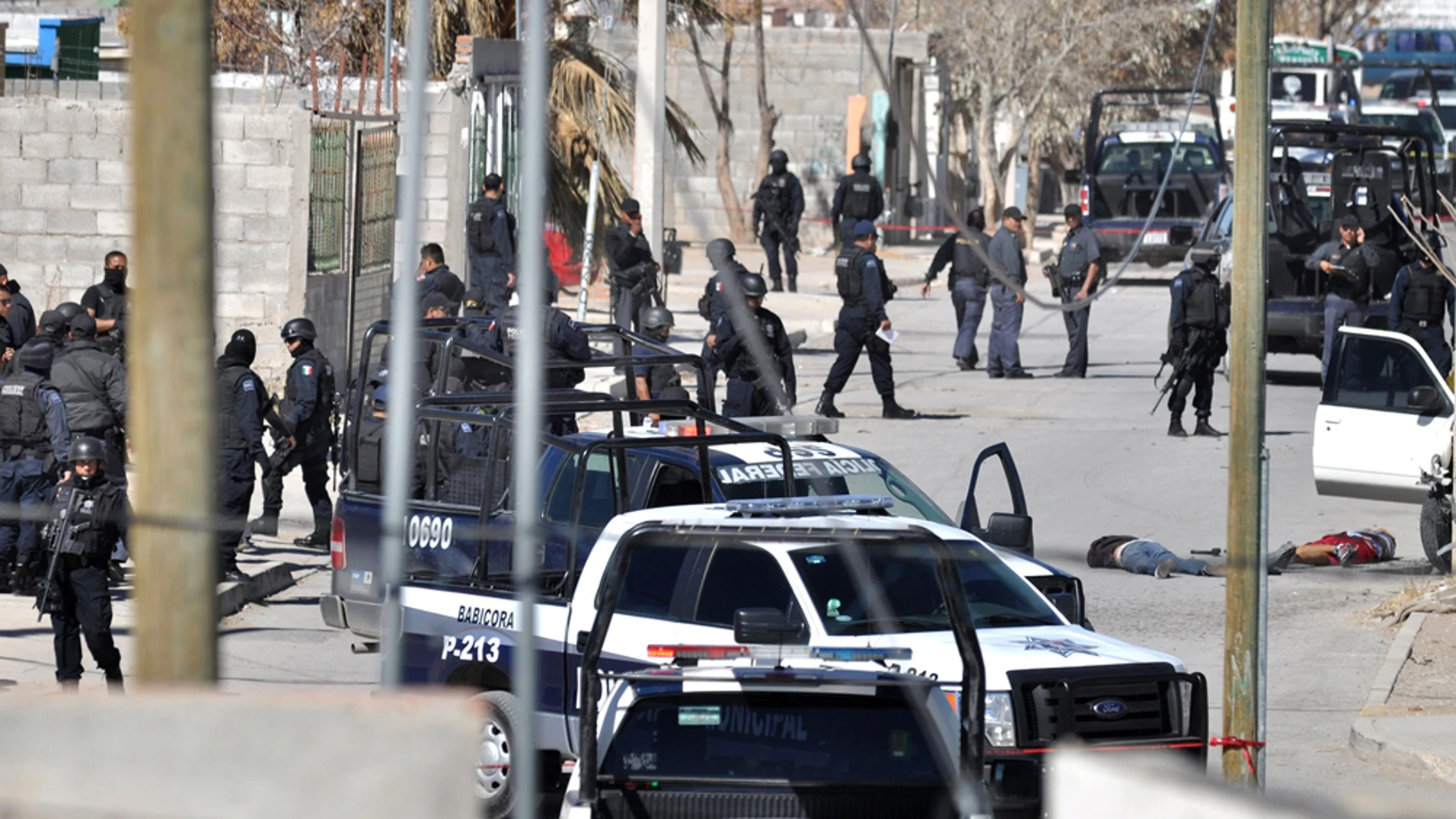 La policía federal investiga los cadáveres de dos sicarios La policía federal investiga los cadáveres de dos sicarios