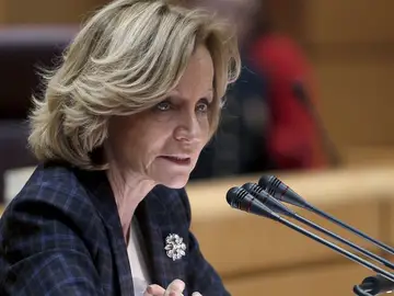 La primera de Economía, Elena Salgado, en una comparecencia pública. La primera de Economía, Elena Salgado, en una comparecencia pública.