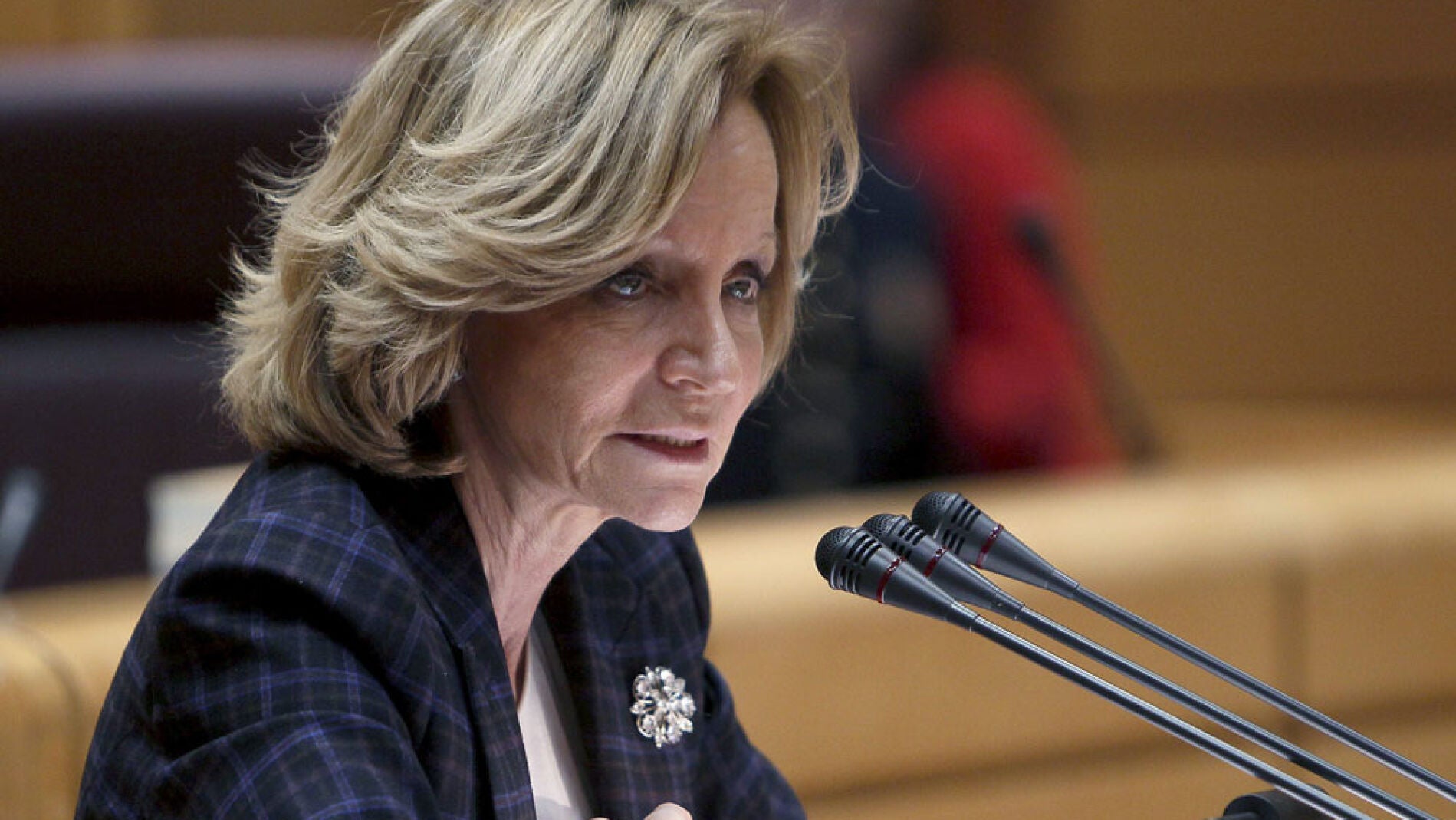 La primera de Econom&iacute;a, Elena Salgado, en una comparecencia p&uacute;blica.