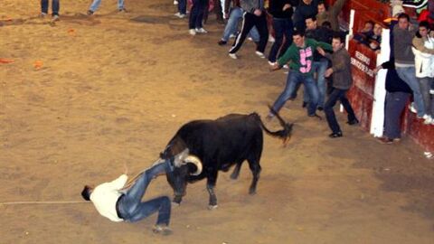 Un joven franc&eacute;s herido muy grave en el Carnaval del Toro de Ciudad Rodrigo