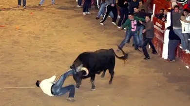Un joven francés herido muy grave en la capea nocturna de Ciudad Rodrigo Un joven francés herido muy grave en la capea nocturna de Ciudad Rodrigo