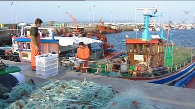 Los pescadores denuncian una oleada de robos en los puertos de Pontevedra