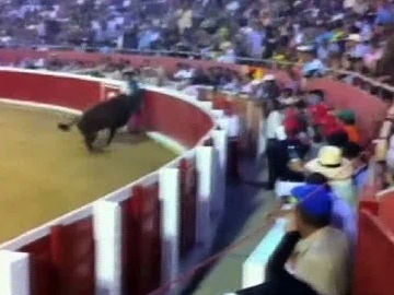 Susto en una plaza de toros de Venezuela