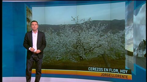 Previsi&oacute;n del tiempo