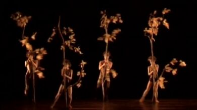 'Bothanica', el último espectáculo de Momix
