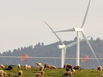 Molinos de viento Molinos de viento