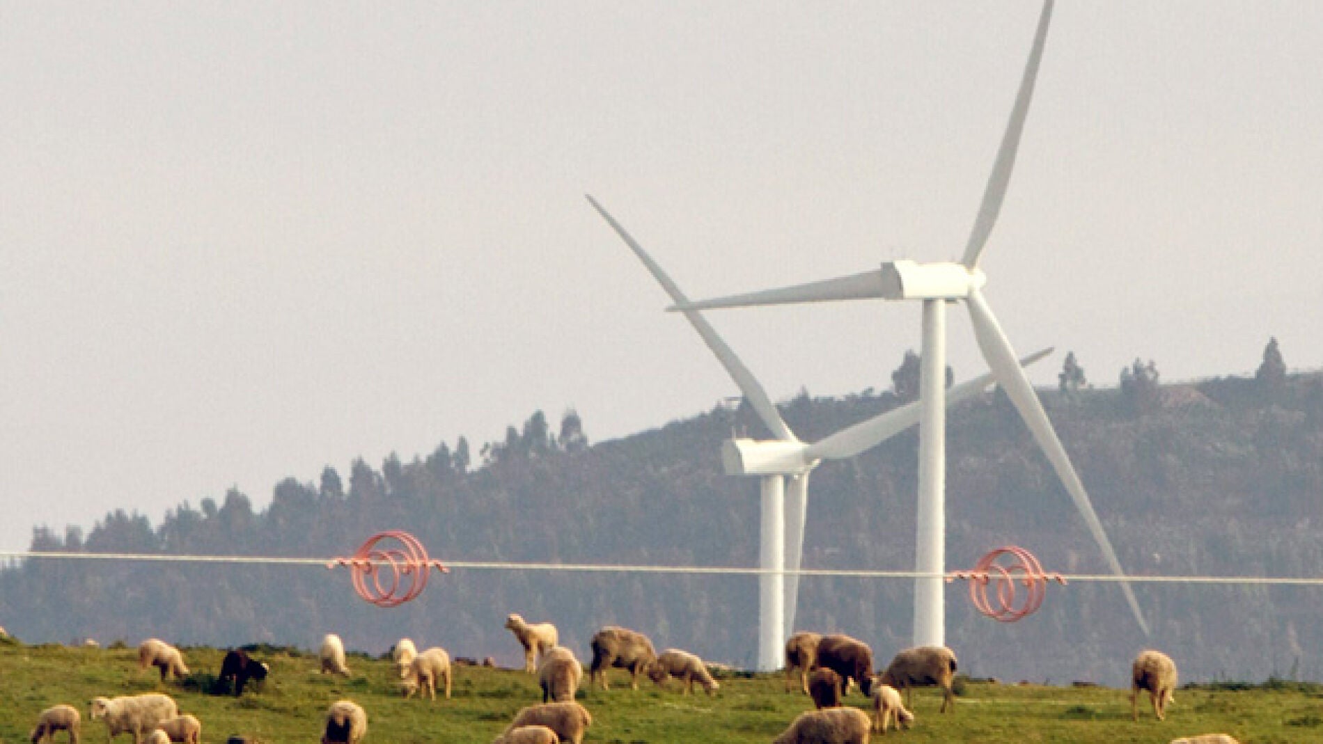 Molinos de viento