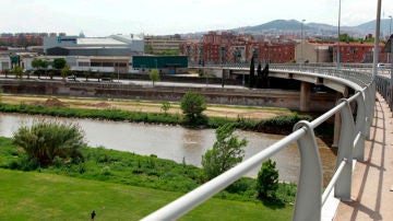 Vista del Pont de Molinet