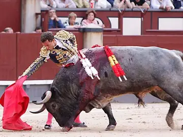 Rafaelillo Rafaelillo
