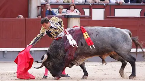 Rafaelillo Rafaelillo