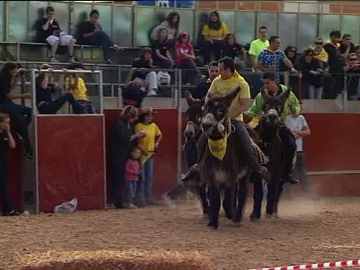 Carrera de burros