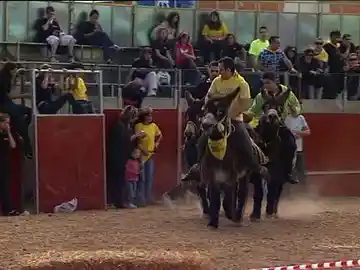 Carrera de burros Carrera de burros